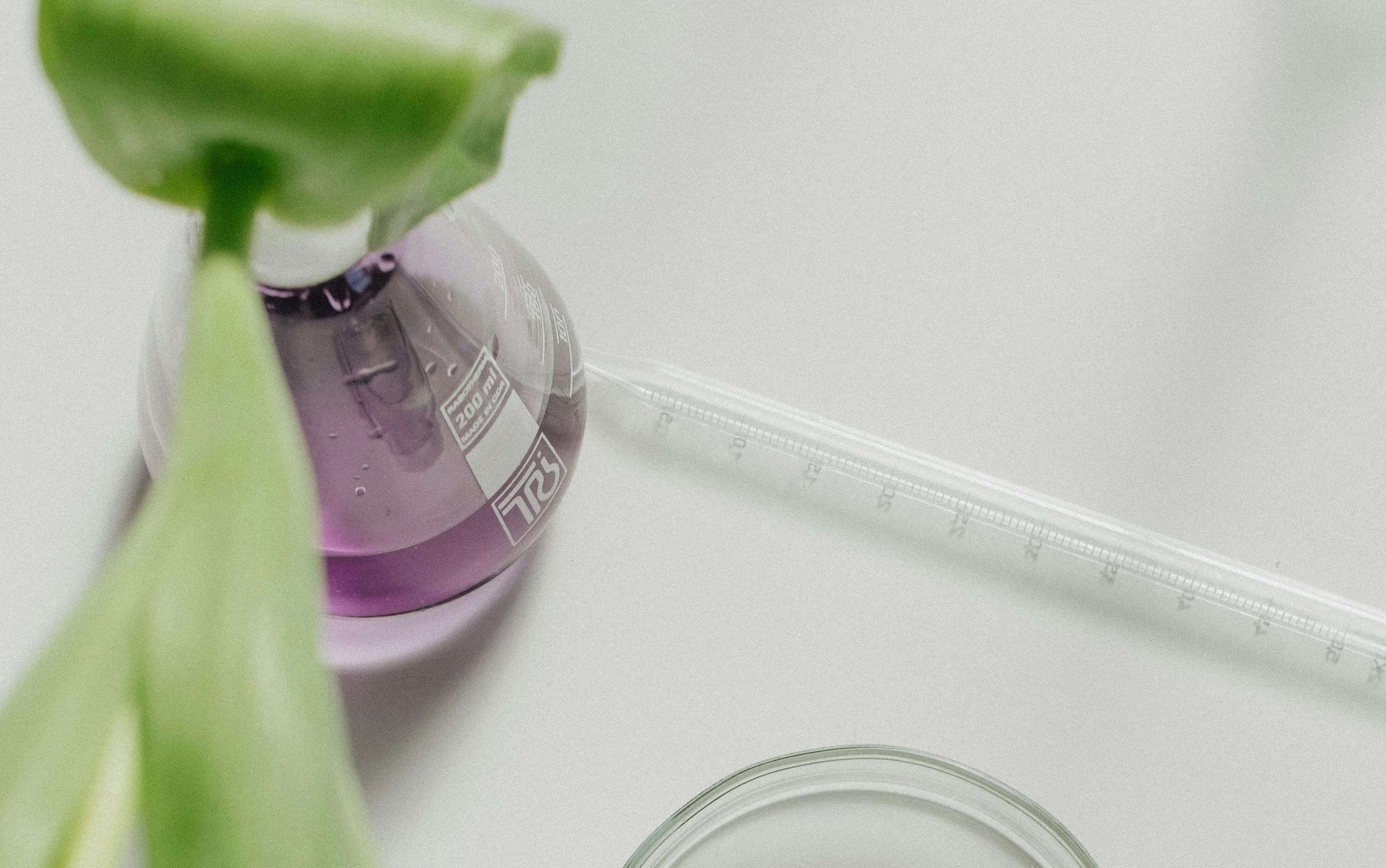 Merging Modern Labs with Plant Power: Evonik's Role in Nation Botanics' Transparency